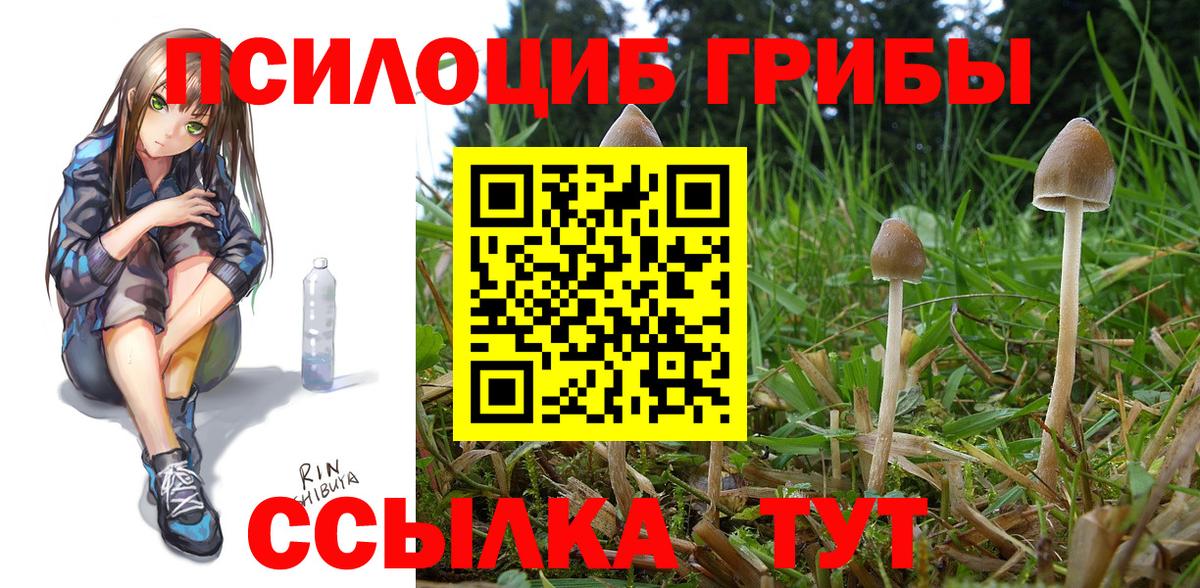 Галлюциногенные грибы GOLDEN TEACHER Верхняя Салда